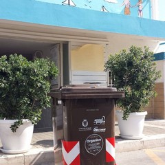 cassonetti organico con lucchetto