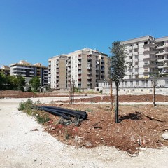 Sopralluogo cantiere ex Rossani