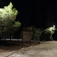 Illuminazione pineta San Francesco