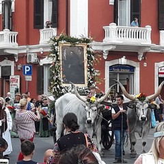 Il corteo di Sant'Antonio