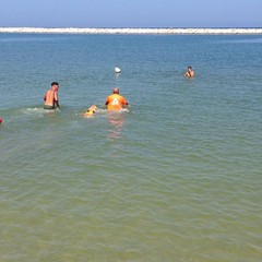 Estate al mare con gli amici a 4 zampe