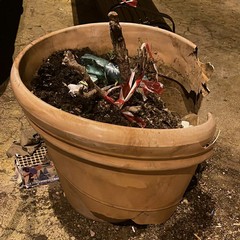 vandalismo bari vecchia