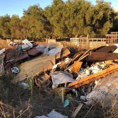 discariche abusive nel municipio iv