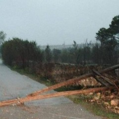 maltempo campagne puglia