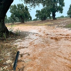 maltempo campagne puglia