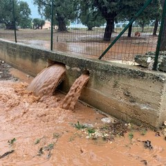 maltempo campagne puglia