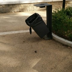 vandali nel giardino isabella d'aragona