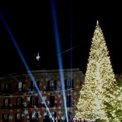 L'albero di Natale in piazza Ferrarese