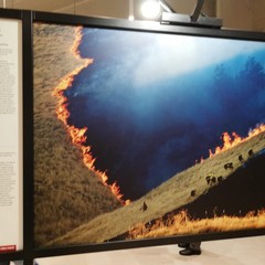 La mostra World press photo 2020 al Margherita
