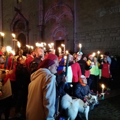 Il San Nicola dei baresi 2019