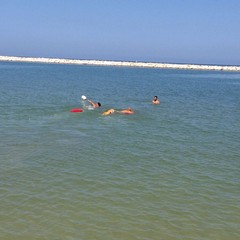 Estate al mare con gli amici a 4 zampe