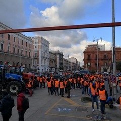 la protesta dei gilet arancioni