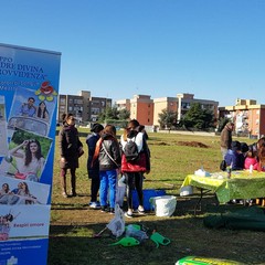 il bosco sociale al san paolo