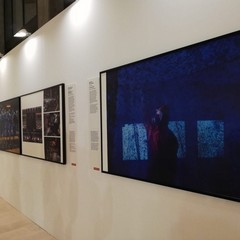 La mostra World press photo 2020 al Margherita