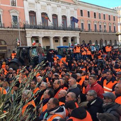 la protesta dei gilet arancioni