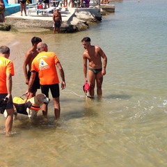 Estate al mare con gli amici a 4 zampe