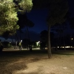 Illuminazione pineta San Francesco