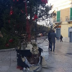 albero di natale distrutto a gravina