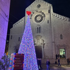 Albero Maldarizzi Bari