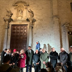 Albero Maldarizzi Bari