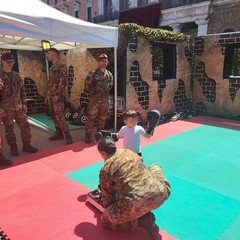 164° anniversario costituzione Esercito Italiano