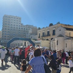 Bari city plus