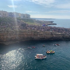 Red Bull Cliff Diving 2019
