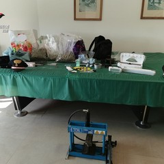 laboratorio droga adelfia