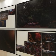 La mostra World press photo 2020 al Margherita