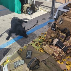 164° anniversario costituzione Esercito Italiano