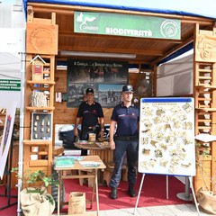 Carabinieri alla Fiera del Levante JPG