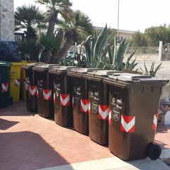 cassonetti organico con lucchetto