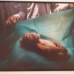 La mostra World press photo 2020 al Margherita