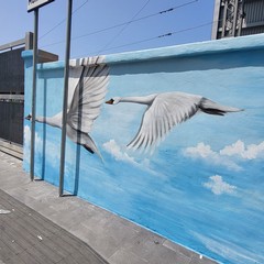 La stazione di Via Capruzzi si colora di arte con la raffigurazione di grandi cigni