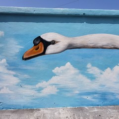 La stazione di Via Capruzzi si colora di arte con la raffigurazione di grandi cigni