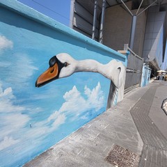 La stazione di Via Capruzzi si colora di arte con la raffigurazione di grandi cigni