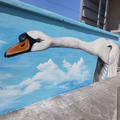 La stazione di Via Capruzzi si colora di arte con la raffigurazione di grandi cigni