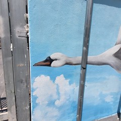La stazione di Via Capruzzi si colora di arte con la raffigurazione di grandi cigni