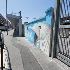 La stazione di Via Capruzzi si colora di arte con la raffigurazione di grandi cigni
