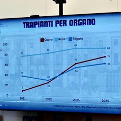 Conferenza report trapianti 2024 al Policlinico di Bari