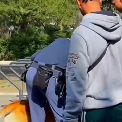 Controlli Polizia di Stato