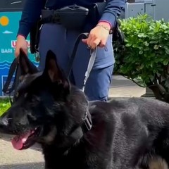 Controlli Polizia di Stato