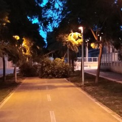 I danni del vento su Bari