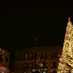 L'albero di Natale in piazza Ferrarese