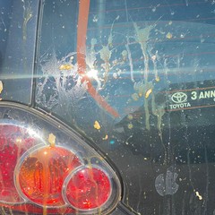 dettaglio due uova lanciate su auto