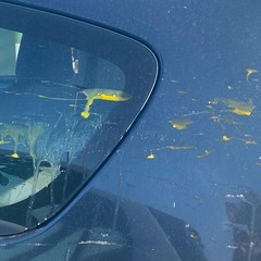 dettaglio uova lanciate su auto