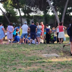 La manifestazione in Pineta