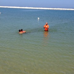 Estate al mare con gli amici a 4 zampe