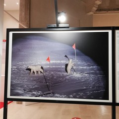 La mostra World press photo 2020 al Margherita