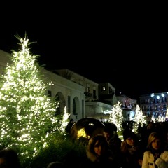 L'albero di Natale in piazza Ferrarese